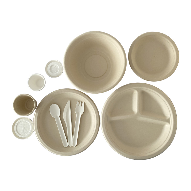 Biodegradable Paper Plates and Cutlery Set